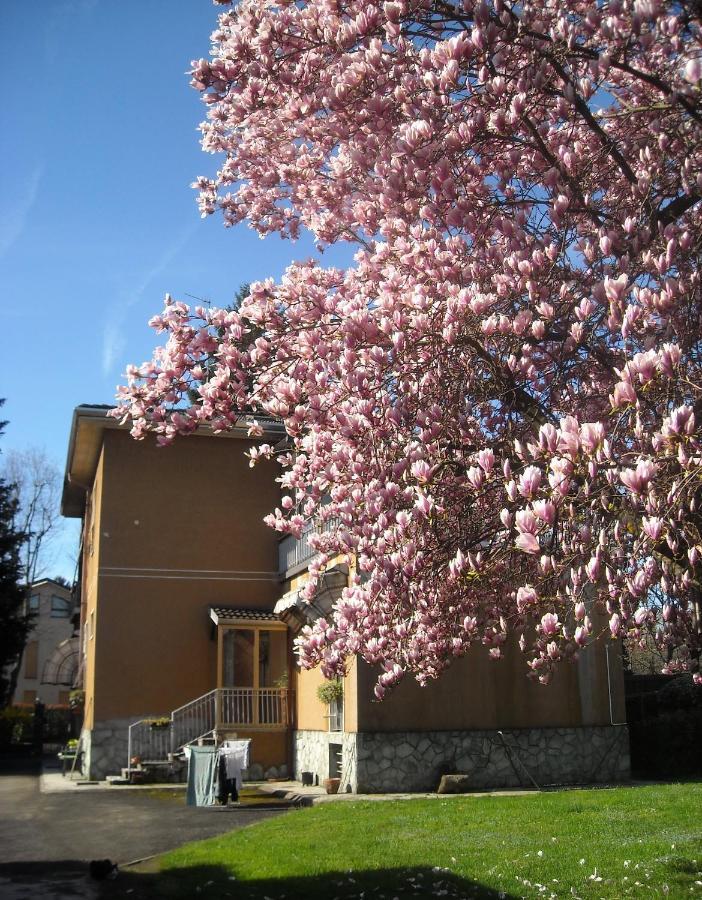 Caronno Pertusella Sentirsi A Casa, Lontano Da Casa-Feel At Home Away From Home מראה חיצוני תמונה