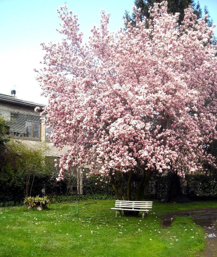 Caronno Pertusella Sentirsi A Casa, Lontano Da Casa-Feel At Home Away From Home מראה חיצוני תמונה